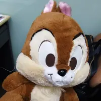 大胃聯盟