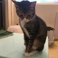 jimjim_eat