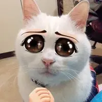 LilyJessy