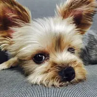 陽光咖啡茶