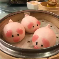 為食小豬嚐美食