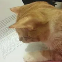 YuKiLamHK