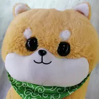 CatKwok2645