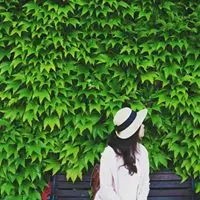 MelodySun2234