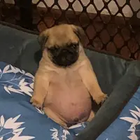 CharlieYiu4076