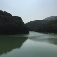 釣魚Yung