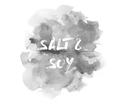 SaltandSoy