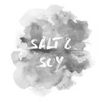 SaltandSoy