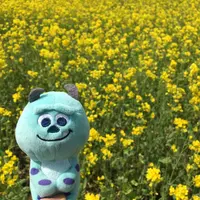 Joanne_Kwok_MY