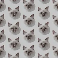 oreocat
