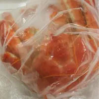 YuHungTam