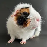ms.Kammi