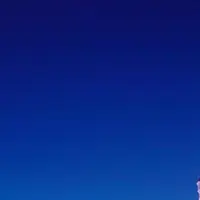 cy_can_dy