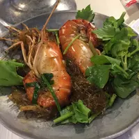 地球上的豬