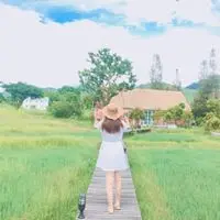 sunnyarroner