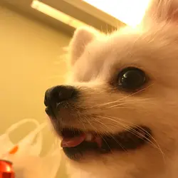 BabyB0ne