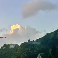 马如楠