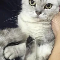 PuiPui6626