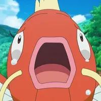 九龍䱽