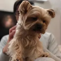 VictorCheuk
