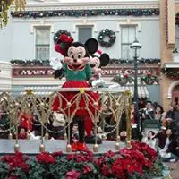 TeresaTse33