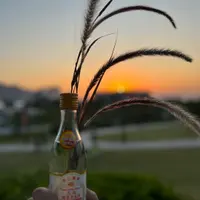 annapheng