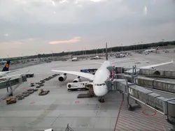 米餃王