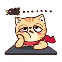 madamcat