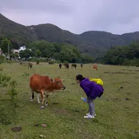 Molly_Momo