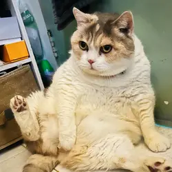 DontCallMe