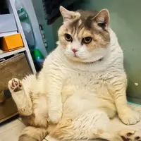DontCallMe