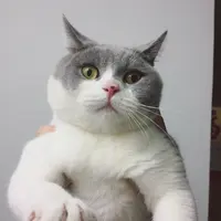 bubulamsan