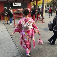 金魚姬札記