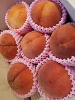 PoYanSze