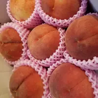 PoYanSze