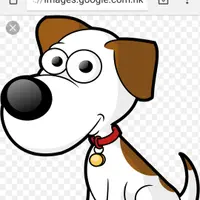 Working Dog Dog