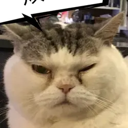 皇宮殿堂級人物-容嬤嬤