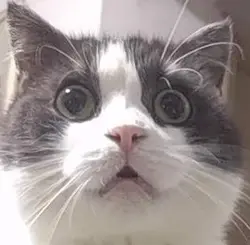 kitkatgggggg