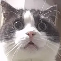 kitkatgggggg