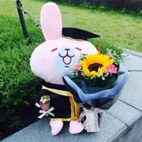 YannieChow3701