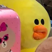asd0008