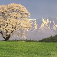 晚來天欲雪