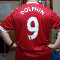 Dolphin Ip