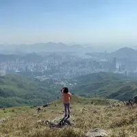 豬脷