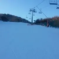 treetree0o0o