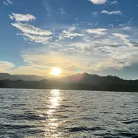 carolchiu1006