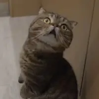 ..-