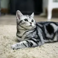 tinaaaw