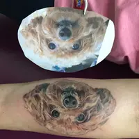 teatealai