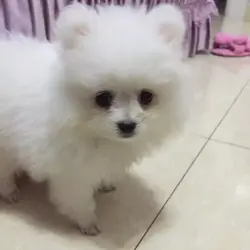 kimmy77570